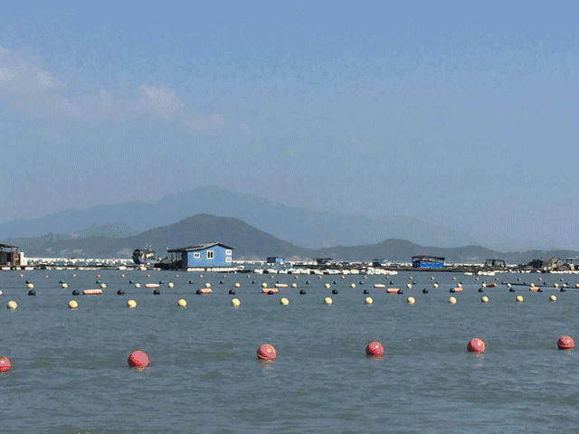 ABUIABADGAAgn9OH2gUo5pOy8wMwgAU44AM